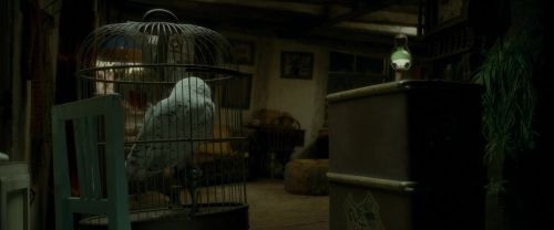 EdP-Potterish1190.jpg
