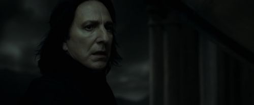 EdP-Potterish12840.jpg