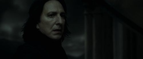 EdP-Potterish12841.jpg