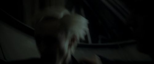 EdP-Potterish12854.jpg