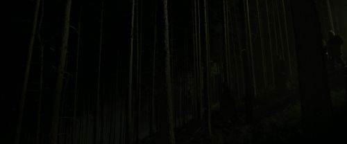 EdP-Potterish12915.jpg