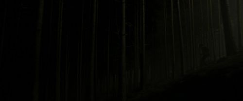 EdP-Potterish12926.jpg