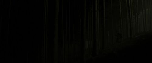 EdP-Potterish12927.jpg