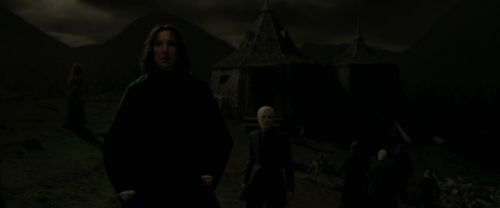 EdP-Potterish12945.jpg