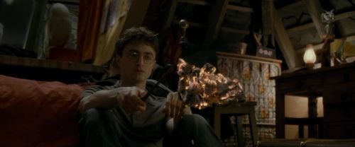 EdP-Potterish1297.jpg
