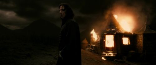 Click to view full size image
==============
EdP-Potterish12987.jpg EdP-Potterish12987.jpg
