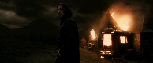 EdP-Potterish12988.jpg