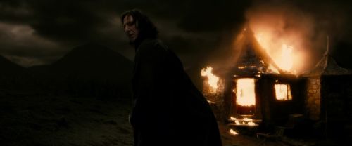 EdP-Potterish12991.jpg