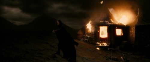 Click to view full size image
==============
EdP-Potterish13005.jpg EdP-Potterish13005.jpg