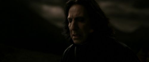 EdP-Potterish13036.jpg