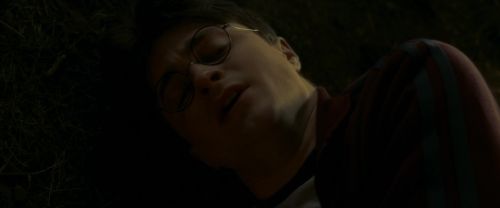 EdP-Potterish13039.jpg