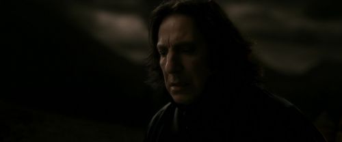 EdP-Potterish13045.jpg
