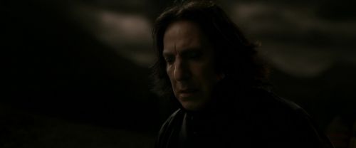 EdP-Potterish13046.jpg