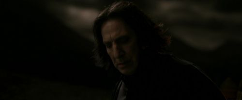 EdP-Potterish13048.jpg