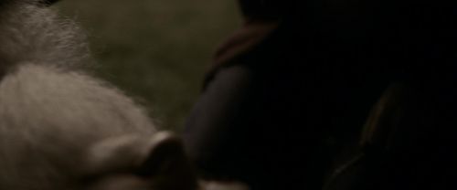 EdP-Potterish13139.jpg