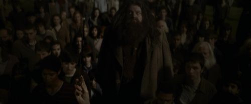EdP-Potterish13196.jpg