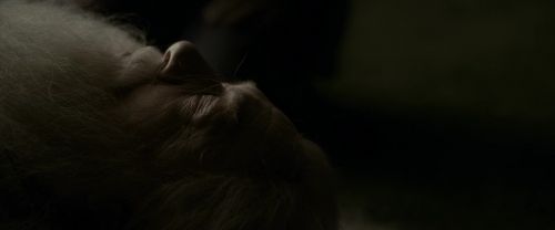 EdP-Potterish13247.jpg