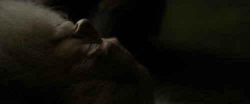 EdP-Potterish13250.jpg