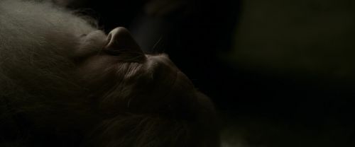 EdP-Potterish13252.jpg
