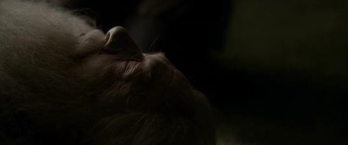 EdP-Potterish13299.jpg