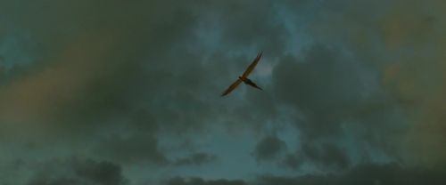 EdP-Potterish13708.jpg