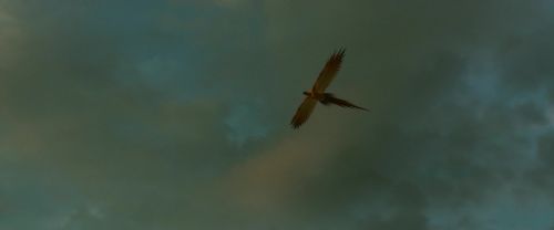 EdP-Potterish13710.jpg
