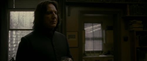 EdP-Potterish1554.jpg