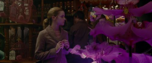 EdP-Potterish1850.jpg