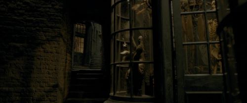Click to view full size image
==============
EdP-Potterish2025.jpg EdP-Potterish2025.jpg