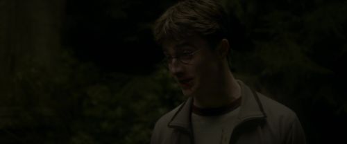 EdP-Potterish2742.jpg