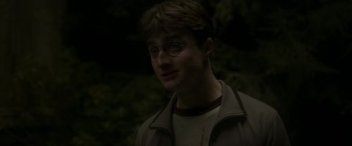 EdP-Potterish2743.jpg