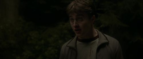 EdP-Potterish2758.jpg