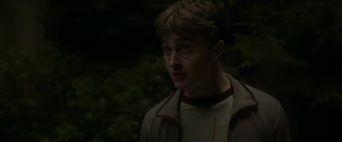 EdP-Potterish2761.jpg