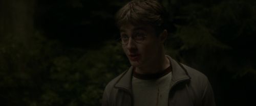 EdP-Potterish2762.jpg