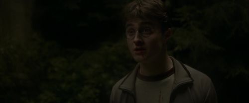 EdP-Potterish2769.jpg