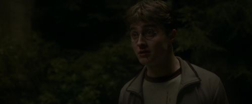 EdP-Potterish2770.jpg