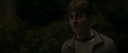 Click to view full size image
==============
EdP-Potterish2771.jpg EdP-Potterish2771.jpg
