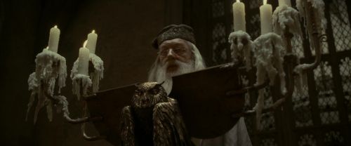 EdP-Potterish2845.jpg