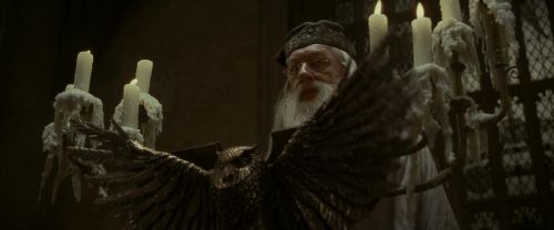 Click to view full size image
==============
EdP-Potterish2849.jpg EdP-Potterish2849.jpg
