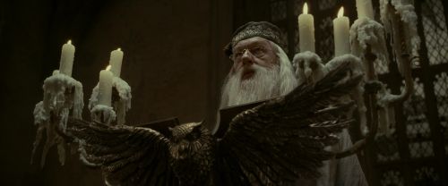EdP-Potterish2851.jpg