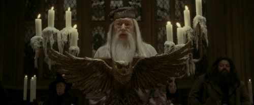 EdP-Potterish3015.jpg