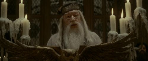 EdP-Potterish3028.jpg