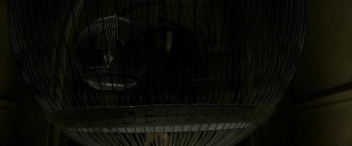 Click to view full size image
==============
EdP-Potterish4169.jpg EdP-Potterish4169.jpg