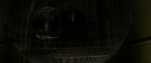 EdP-Potterish4170.jpg