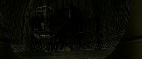Click to view full size image
==============
EdP-Potterish4172.jpg EdP-Potterish4172.jpg