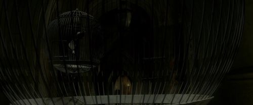 Click to view full size image
==============
EdP-Potterish4175.jpg EdP-Potterish4175.jpg