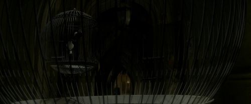 Click to view full size image
==============
EdP-Potterish4176.jpg EdP-Potterish4176.jpg