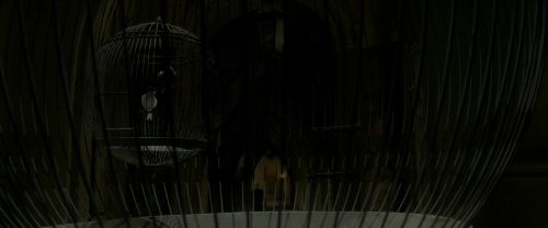 EdP-Potterish4177.jpg