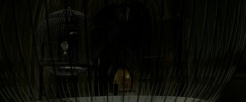 Click to view full size image
==============
EdP-Potterish4178.jpg EdP-Potterish4178.jpg
