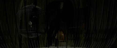 EdP-Potterish4180.jpg